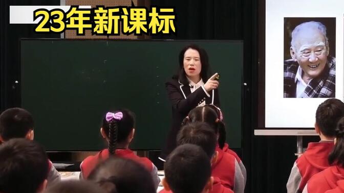 《一只窝囊的大老虎》公开课优质课【特级教师】