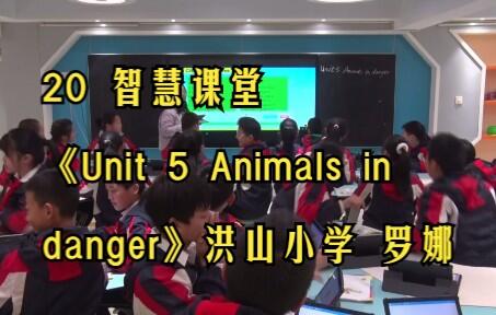 20 智慧课堂《Unit 5 Animals in danger》洪山小学 罗娜