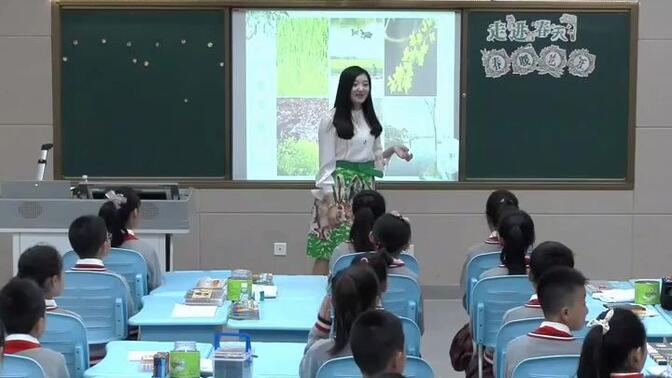 【有完整视频】部编人教版小学美术四年级下册《走进春天》获奖优质课视频，宁夏