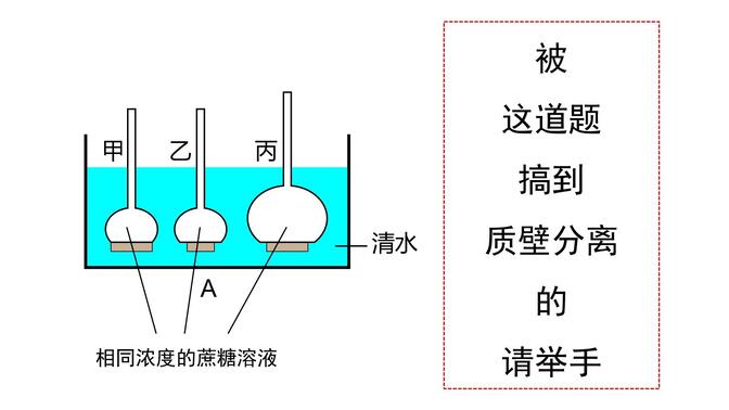 必修1第四章第1节    被动运输（第1课时）细胞的吸水和失水