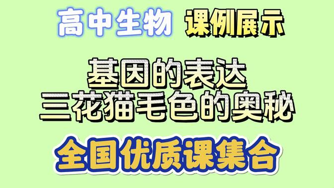 2024年高中生物学 必修二 第四章 基因的表达 大单元教学 公开课 展示课 示范课 优质课 课堂教学 教学视频 课堂实录 基因的表达说课