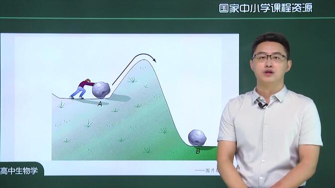 高中生物必修第一册生物人教版名师同步教学 高中生物必修一必修1