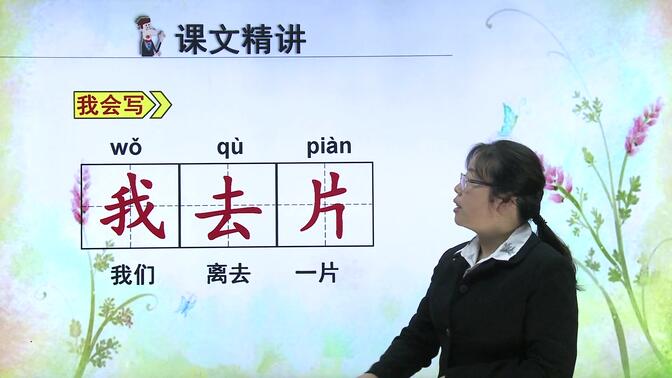 苏教版小学语文一年级上册_课文6 看菊花