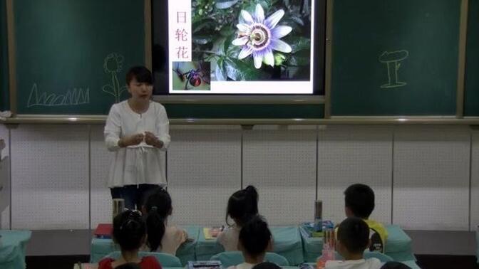 【获奖】人教版一年级美术下册《太空里的植物》（张老师）全国一等奖｜优质课视频｜公开课视频｜比赛视频｜获奖课件｜课堂实录｜小学美术｜