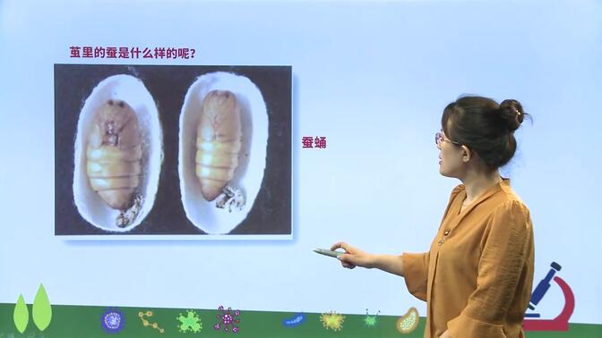 人教版 初中生物 八年级下