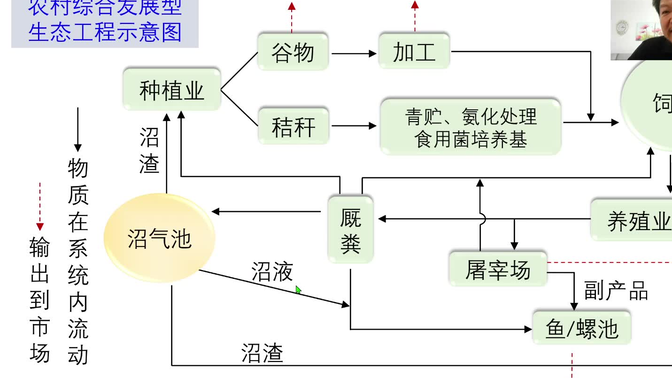 选择性必修2第四章第3节：（第2课时）生态工程的实例