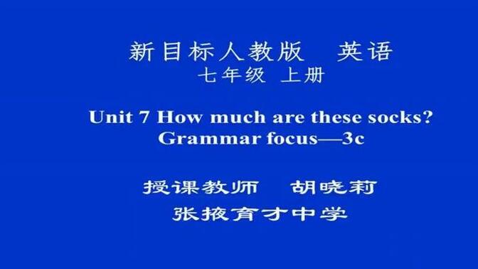 人教七上【含课件教案】 Unit7A How much are these socks? Grammar Focus 3a—3c  【公开课】【优质课】