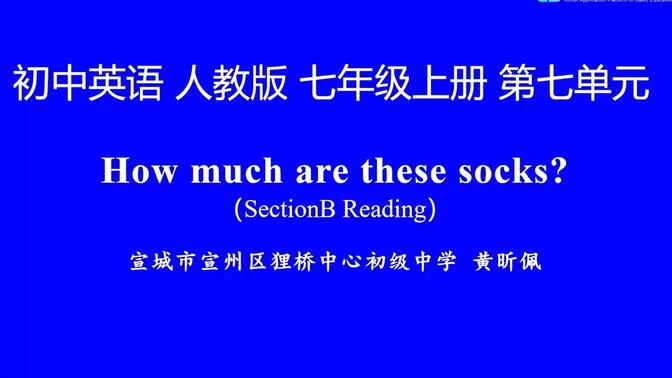 人教版初一七年级上册Unit 7 How much are these socks Section B Reading