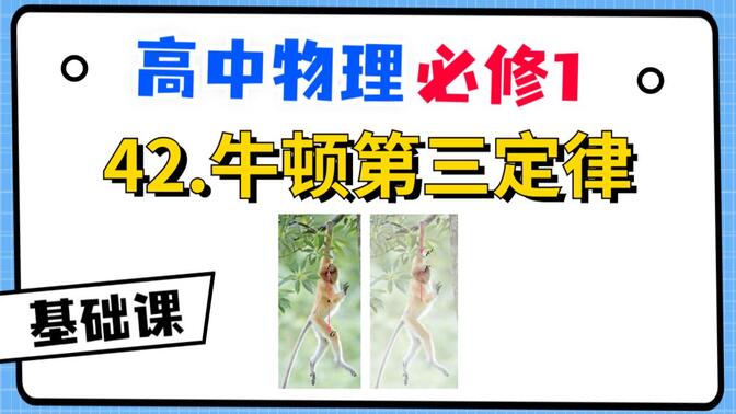 【高中物理必修1系统课】42.牛顿第三定律