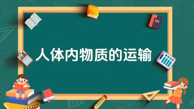 初中生物人体内物质的运输：血流的管道—血管