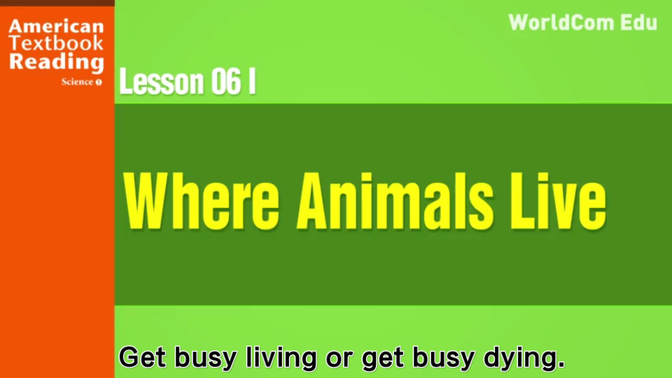 S1L06 Where Animals Live