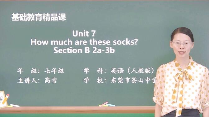 精品课视频  人教版 七上英语 Unit7 How much are these socks？Section B 2a-3b 高雪